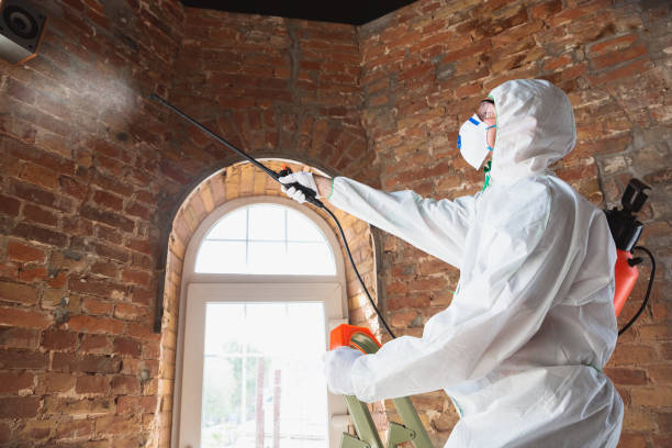 Mold Remediation for Vacation Homes