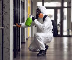 Best Mold Removal for HVAC Installations  in Palmview South, TX